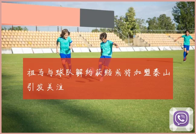 祖马与球队解约获赔或将加盟泰山引发关注