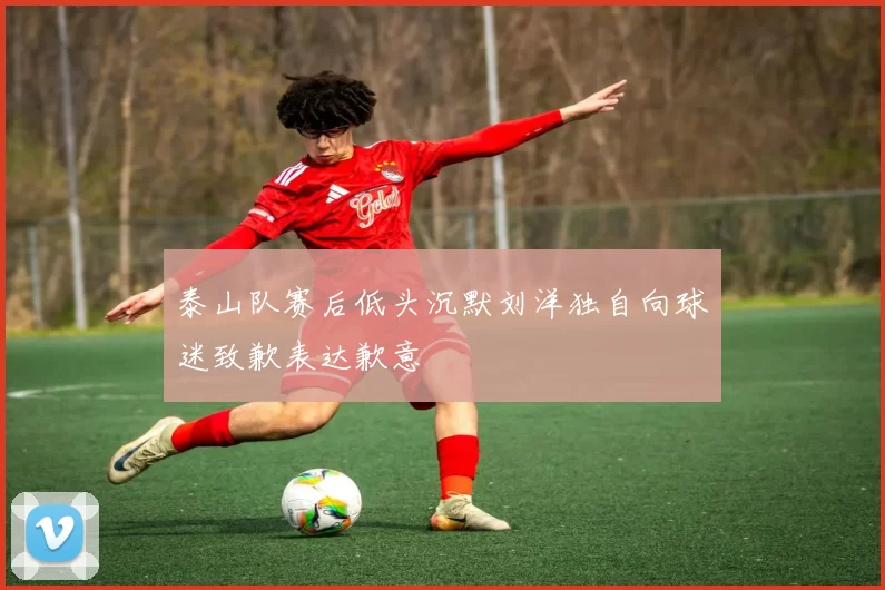 泰山队赛后低头沉默刘洋独自向球迷致歉表达歉意